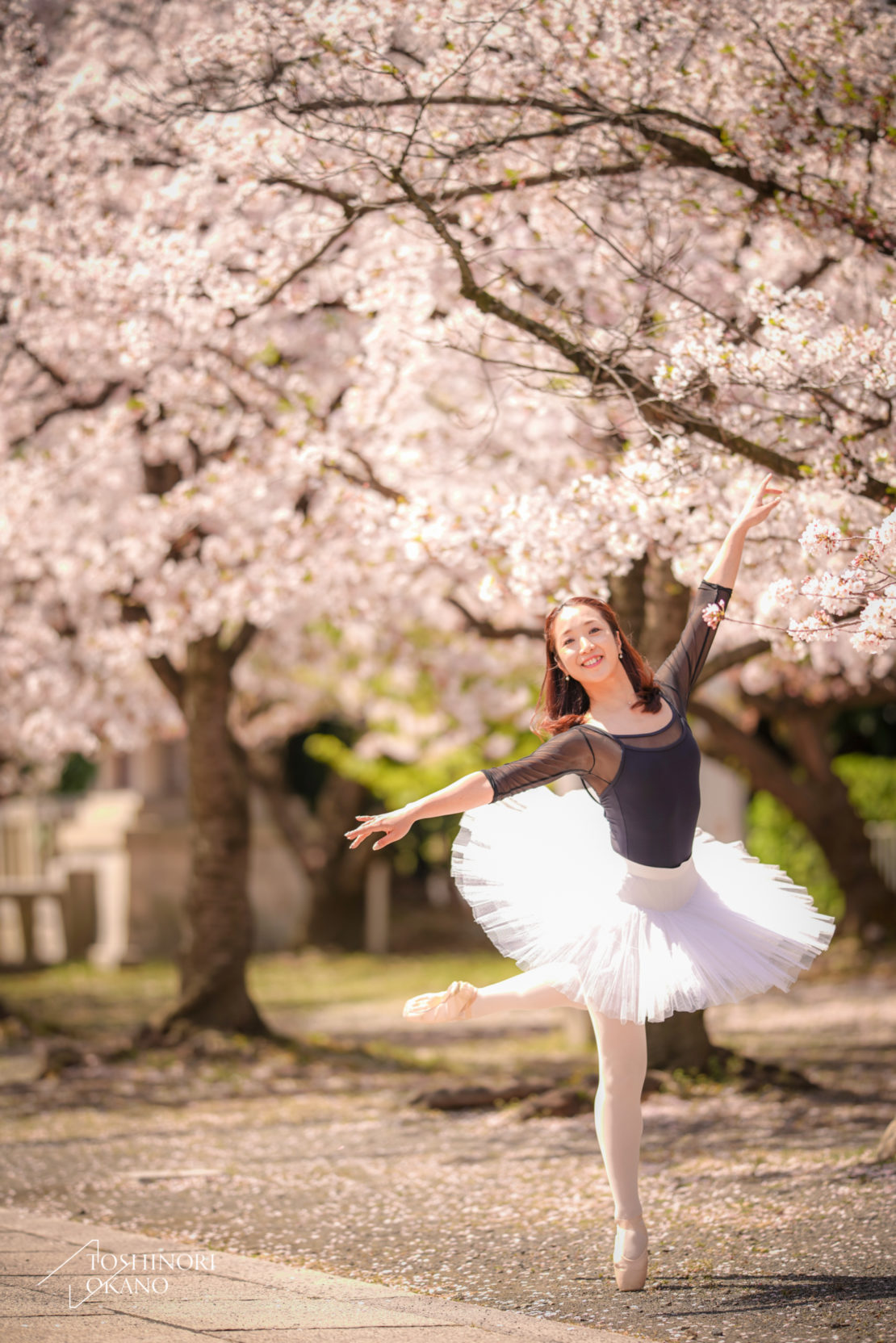 photo 49 Cherry blossom and ballet