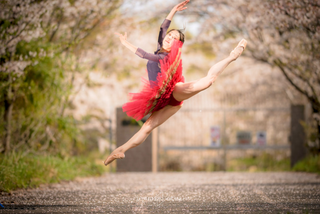 photo 51 Cherry blossom and ballet