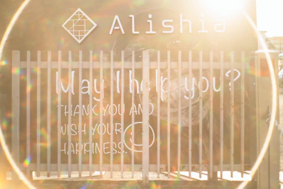 Alishia inc.｜株式会社アリシア