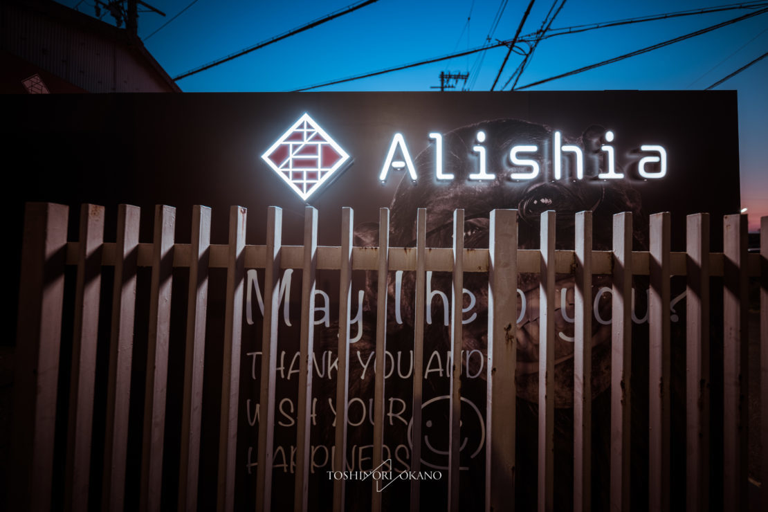 Alishia inc.｜株式会社アリシア